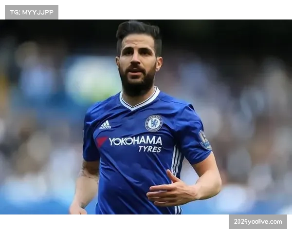 法布雷加斯谈科莫执教理念，传控足球需要时间沉淀