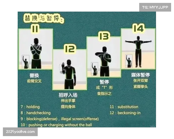 裁判长解读规则变化，及其对比赛的影响