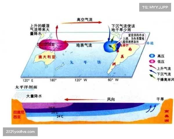 冬奥气候适应性报告：人造雪技术如何应对厄尔尼诺现象